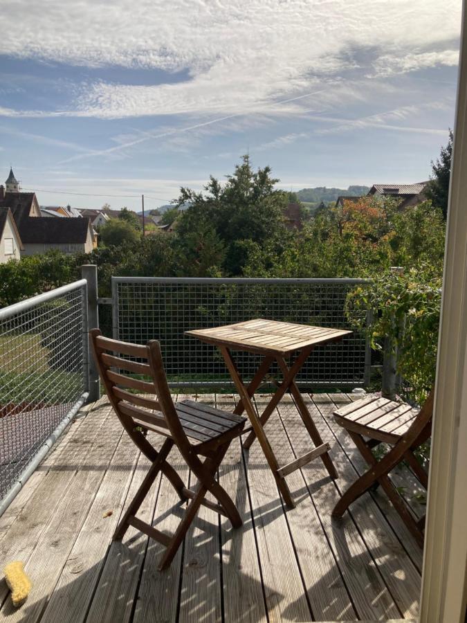 3 Zi Wohnung Haustiere Willkommen Im Markgraeflerland Dreilaendereck Schliengen Exterior photo